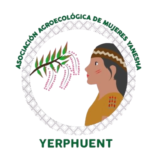 356903230_142288285538676_4718919416586057645_n-removebg-preview