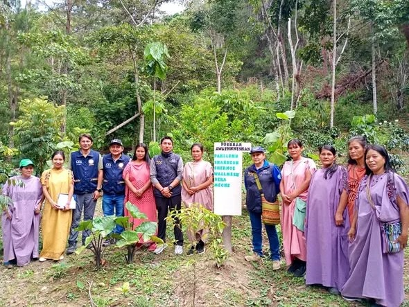 Proceso de Certificaciones Gratuitas